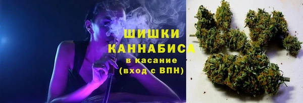 спайс Алексин