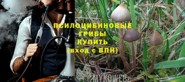 гидра Алзамай