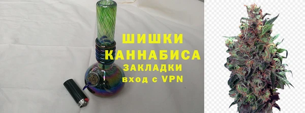 гидра Арсеньев
