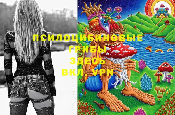 МДМА Алексеевка