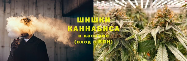 гидра Арсеньев