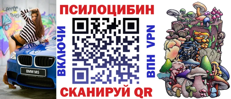 где купить наркотик  Волгодонск  Галлюциногенные грибы Magic Shrooms 